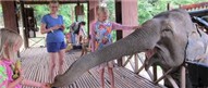 Biking and Elephant Riding